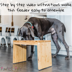Pawfect Pets silicone pads securing bowls to reduce spills