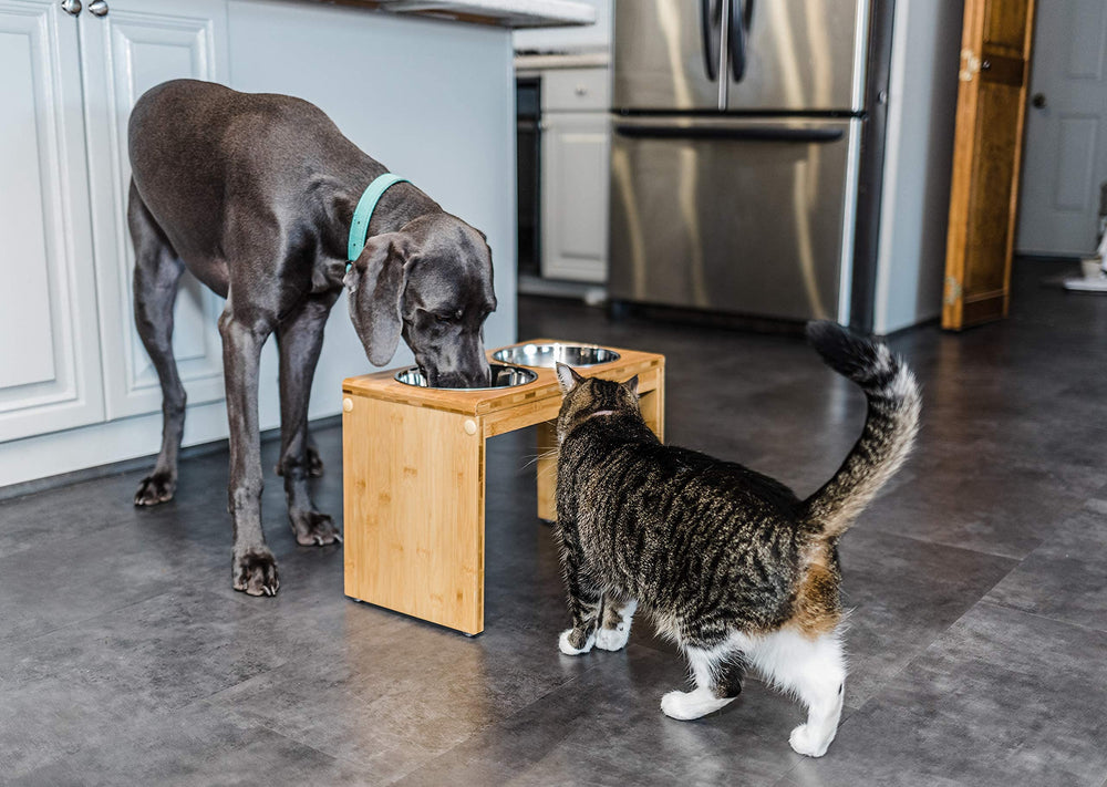 Pawfect Pets three 48oz and one 32oz bowls ready for meals