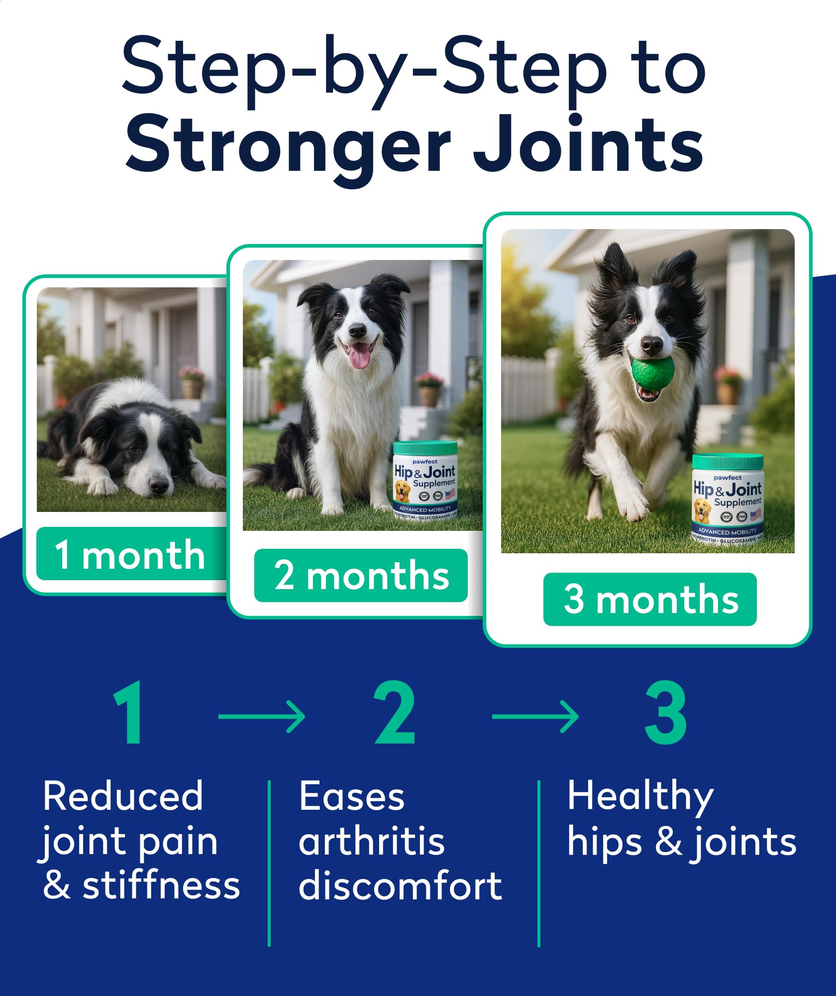 PAWFECTCHEW glucosamine dog treats ingredient close-up showing chondroitin and MSM.