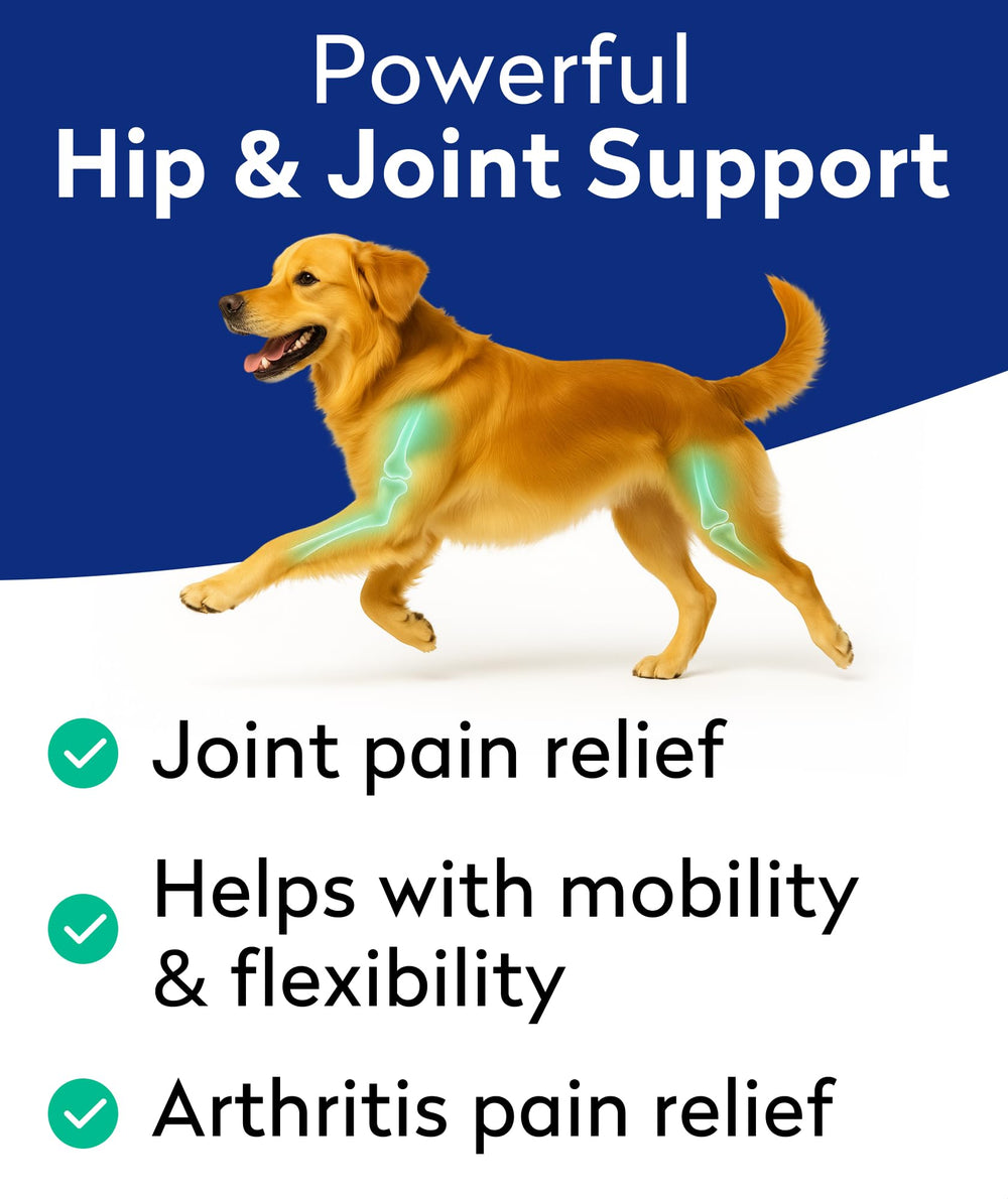 PAWFECTCHEW Pawfect Mobility chews close-up showing soft texture for joints.