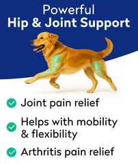 PAWFECTCHEW Pawfect Mobility chews close-up showing soft texture for joints.