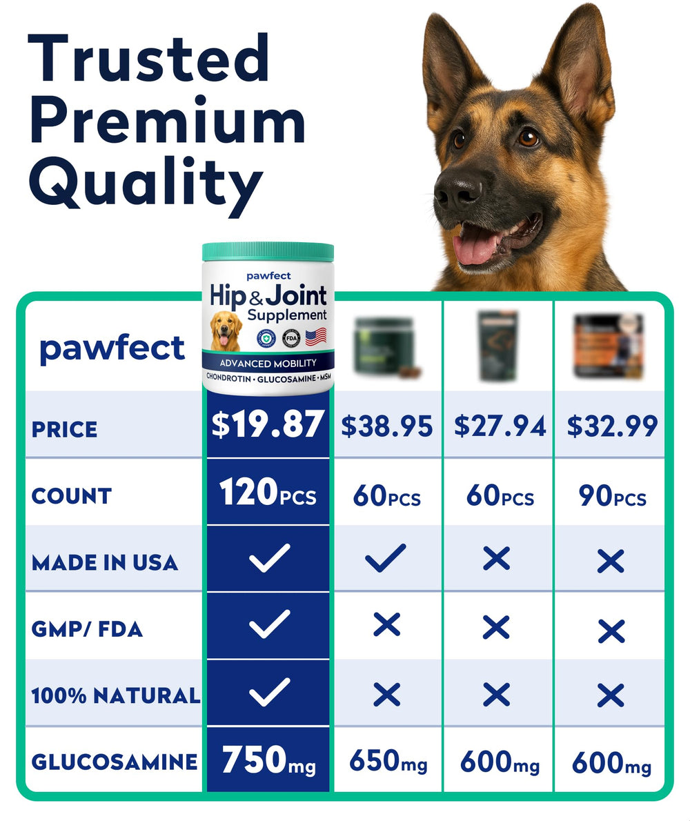 PAWFECTCHEW omega-3 visuals highlight joint-supporting formula.