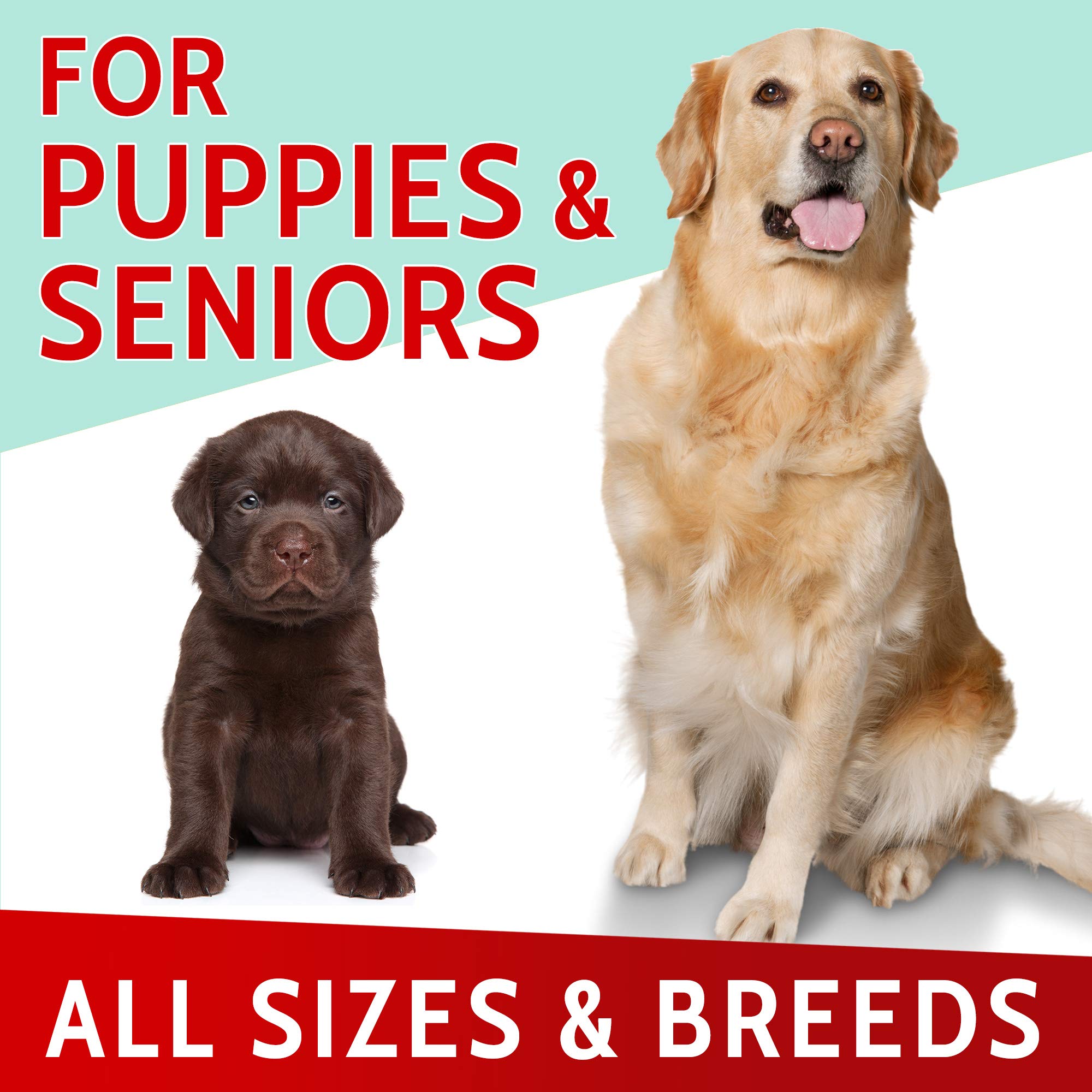 PAWFECTCHEW USA-made label signals safe, natural ingredients.