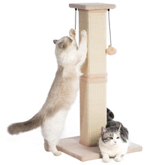 Pawfessor base plush 16x16-inch for stable big-cat lounging and play