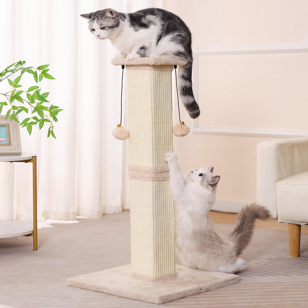 Pawfessor beige-neutral-tone blends with home decor for easy integration