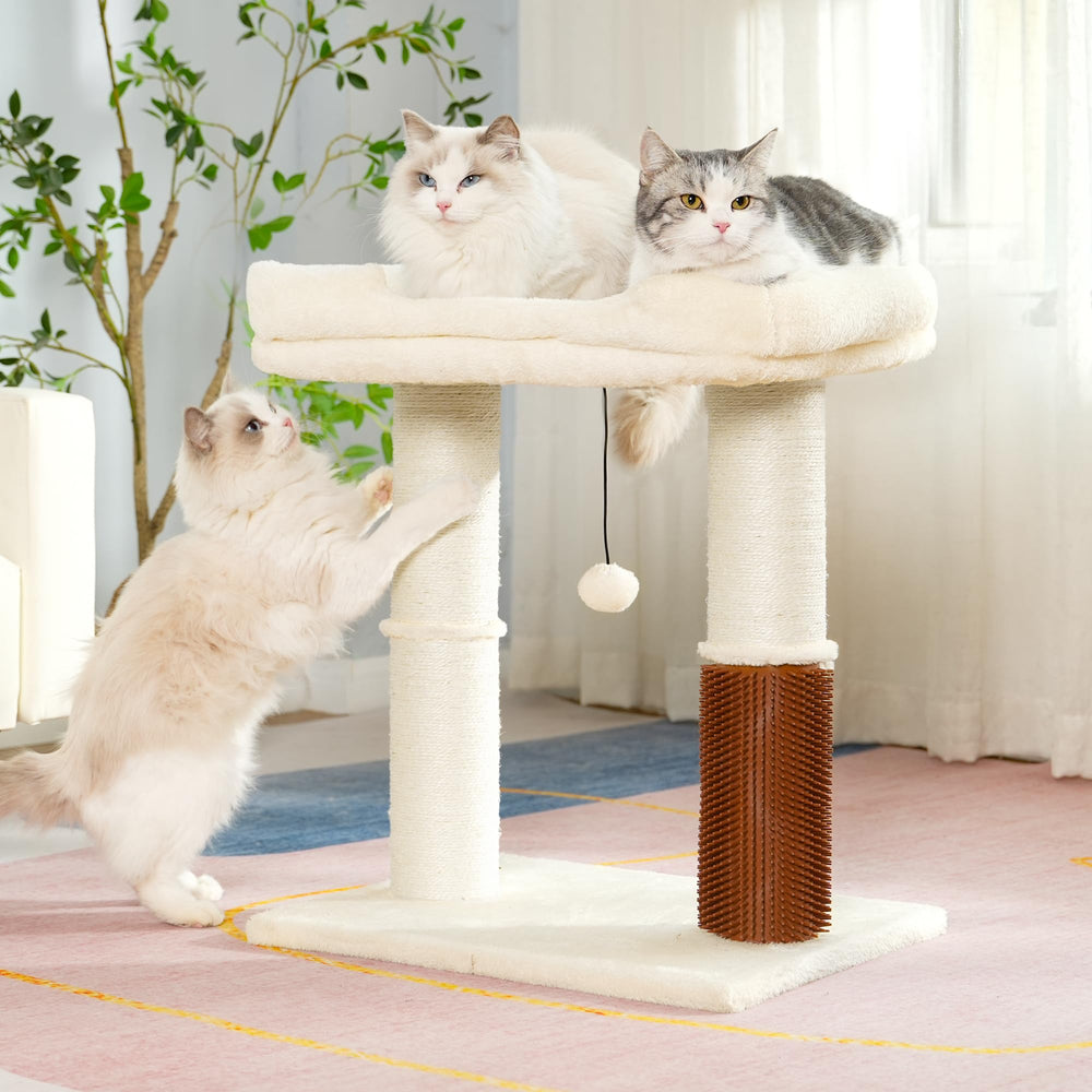 Pawfessor cat tree tower easy assembly with included tools.
