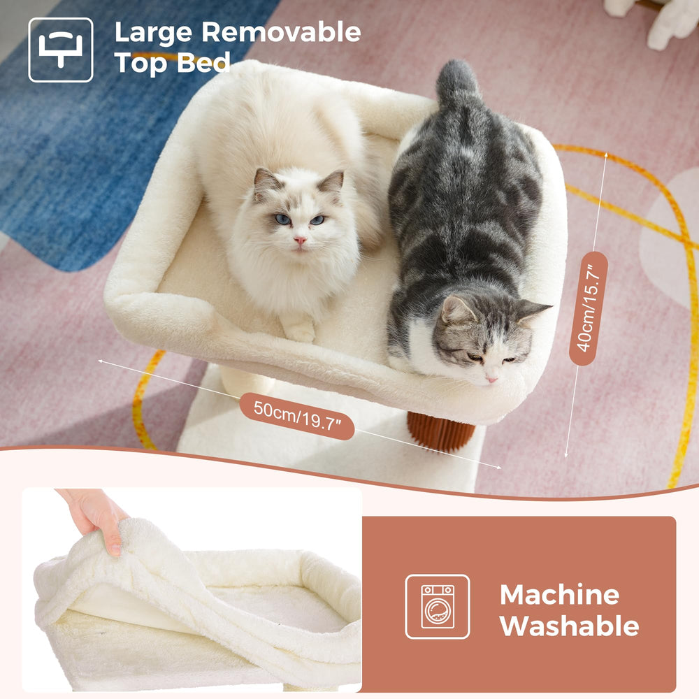 Pawfessor cat tree tower lower self-groomer for gentle massages.