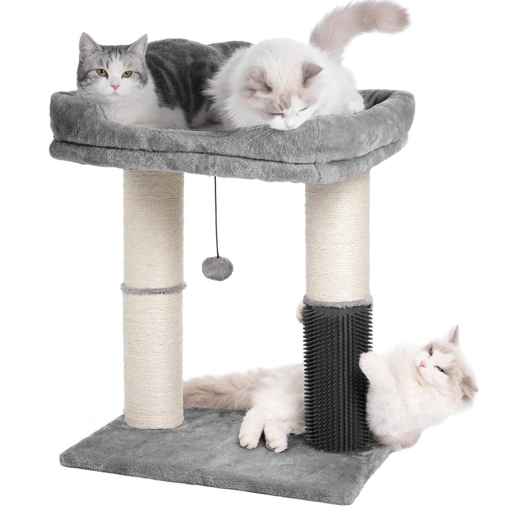 Pawfessor cat tree tower with wide top bed offers cozy resting space for large cats.