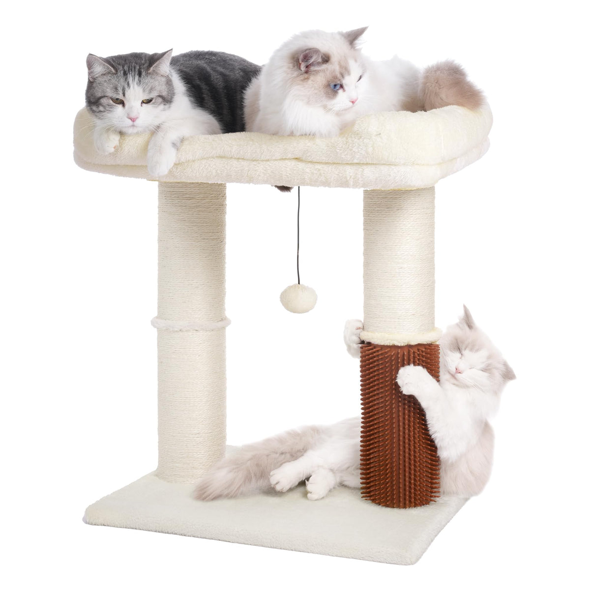 Pawfessor cat tree tower wide top bed offers roomy lounging for large cats.