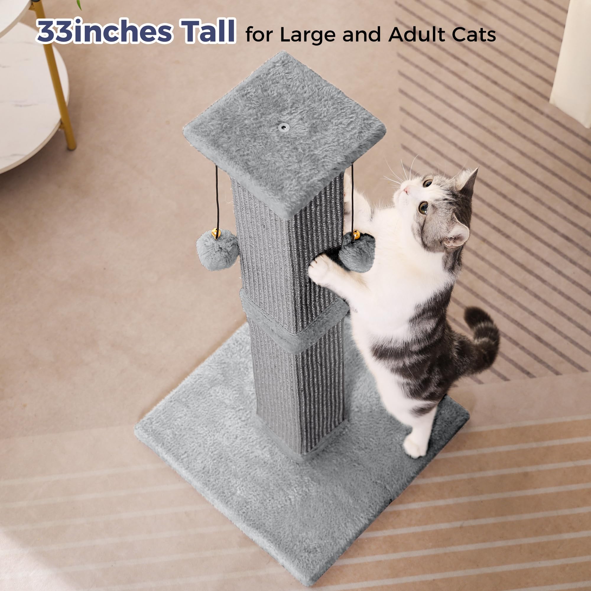 Pawfessor grey-beige decor blends with modern home interiors.