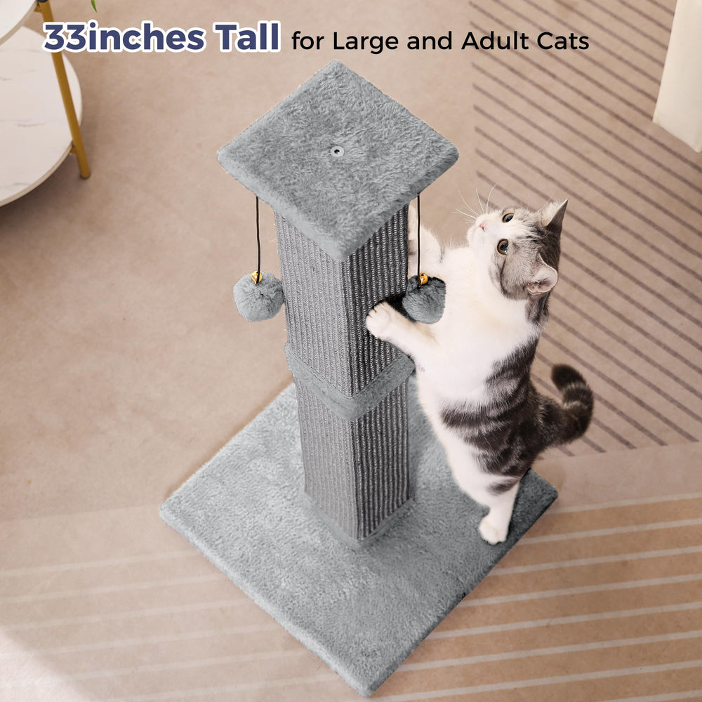 Pawfessor grey-beige decor blends with modern home interiors.