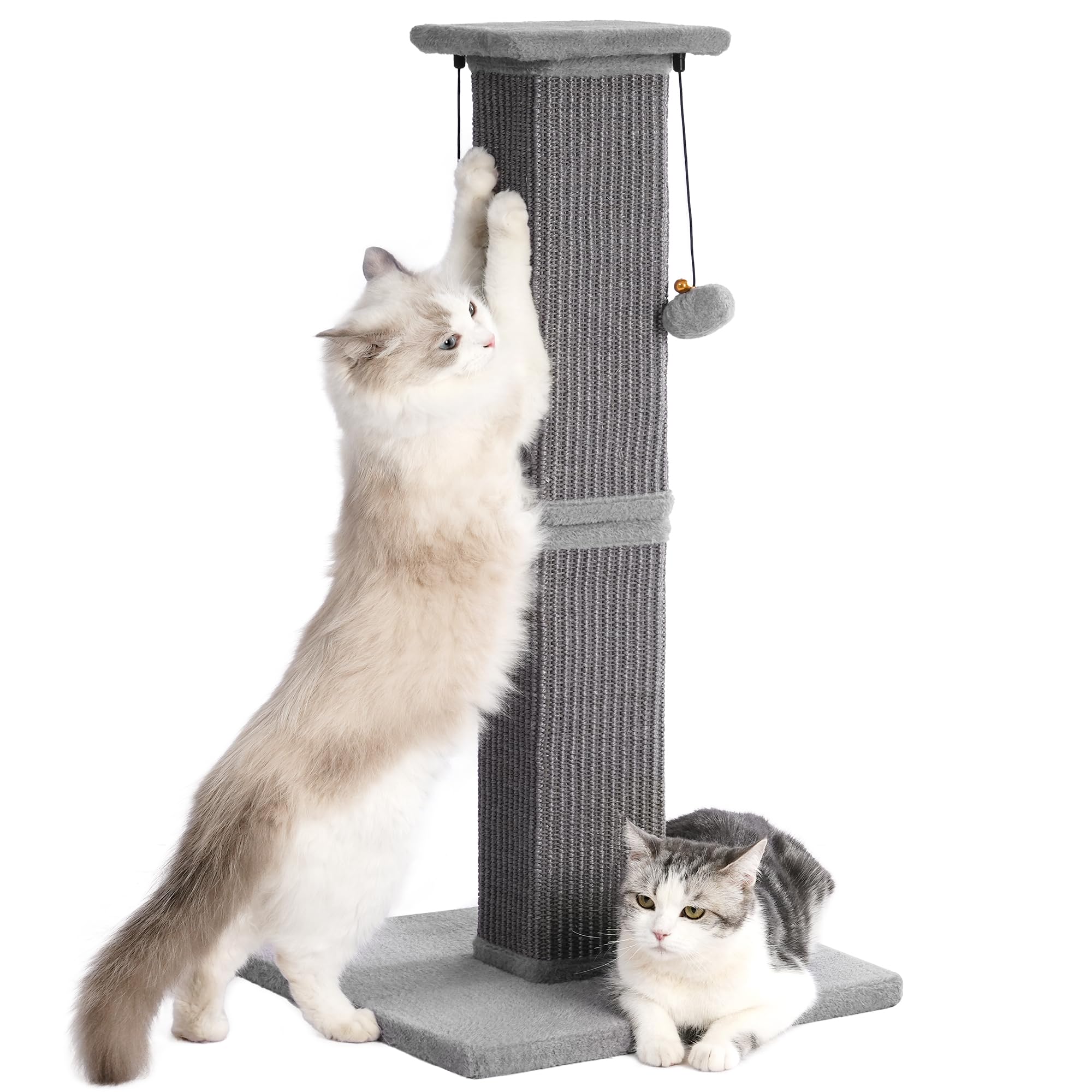 Pawfessor large cat scratching post base view provides stable foundation for big cats.