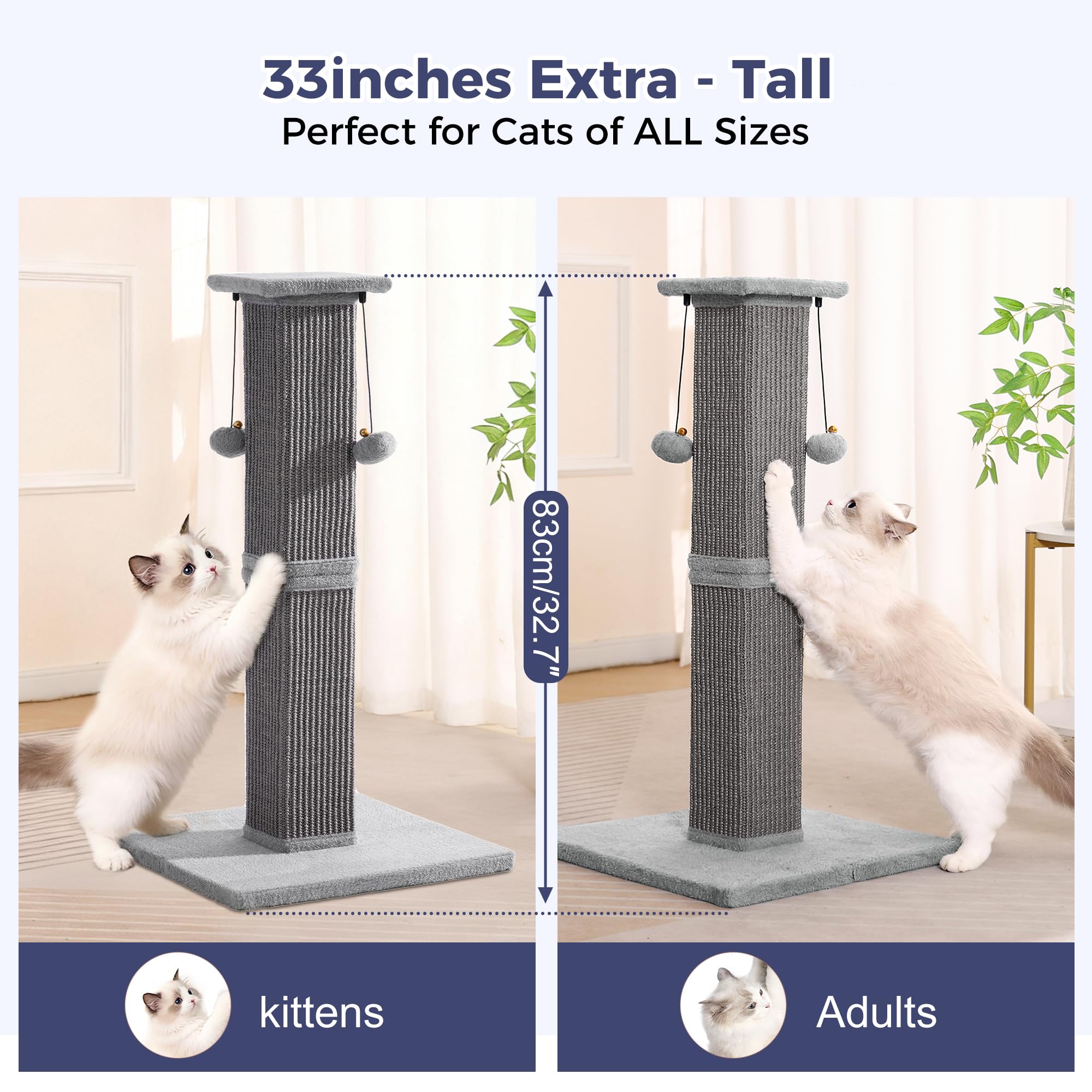 Pawfessor plush plank offers a soft standing and observation surface.