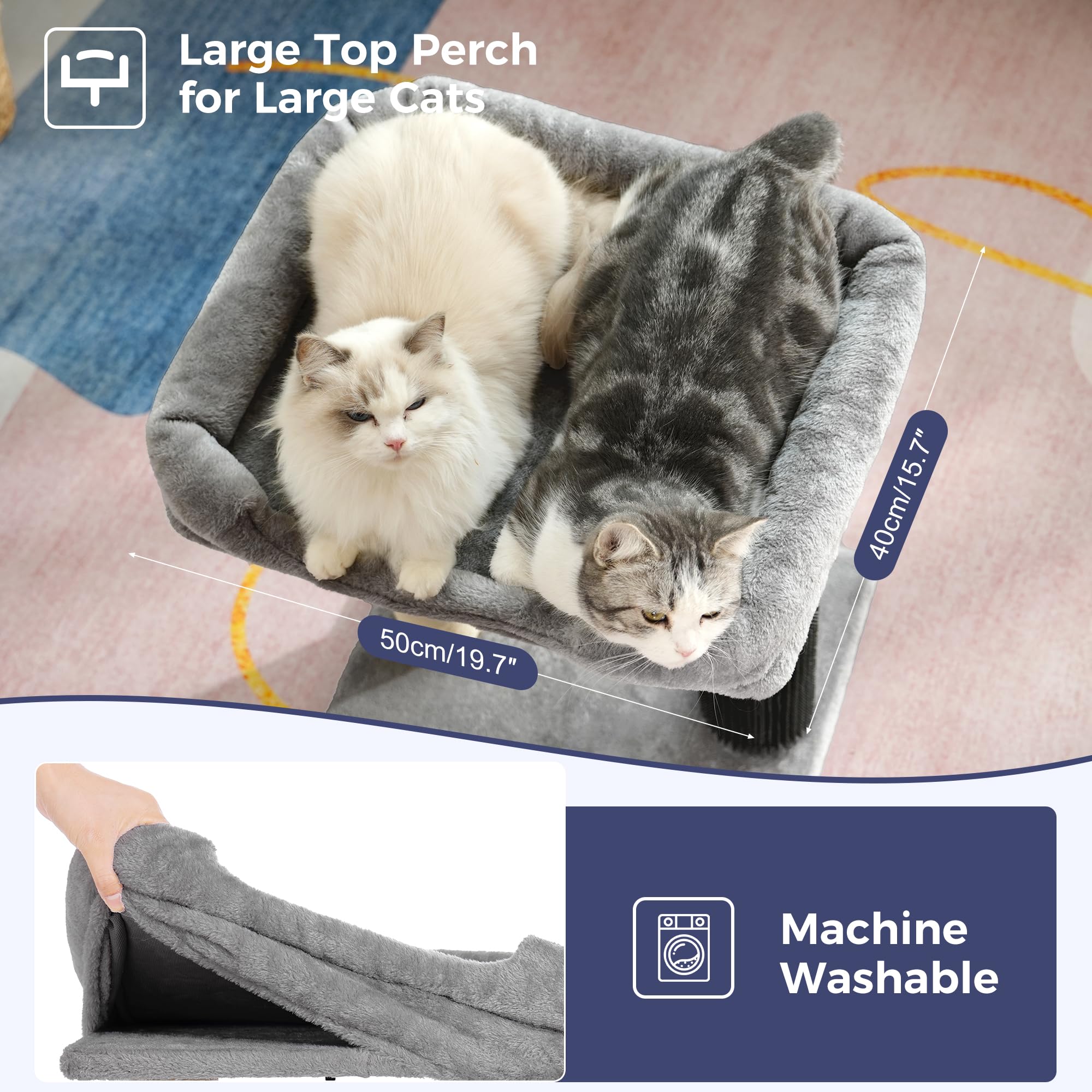 Pawfessor large top bed 20 x 15.7 inches accommodates big cats or cuddle sessions.