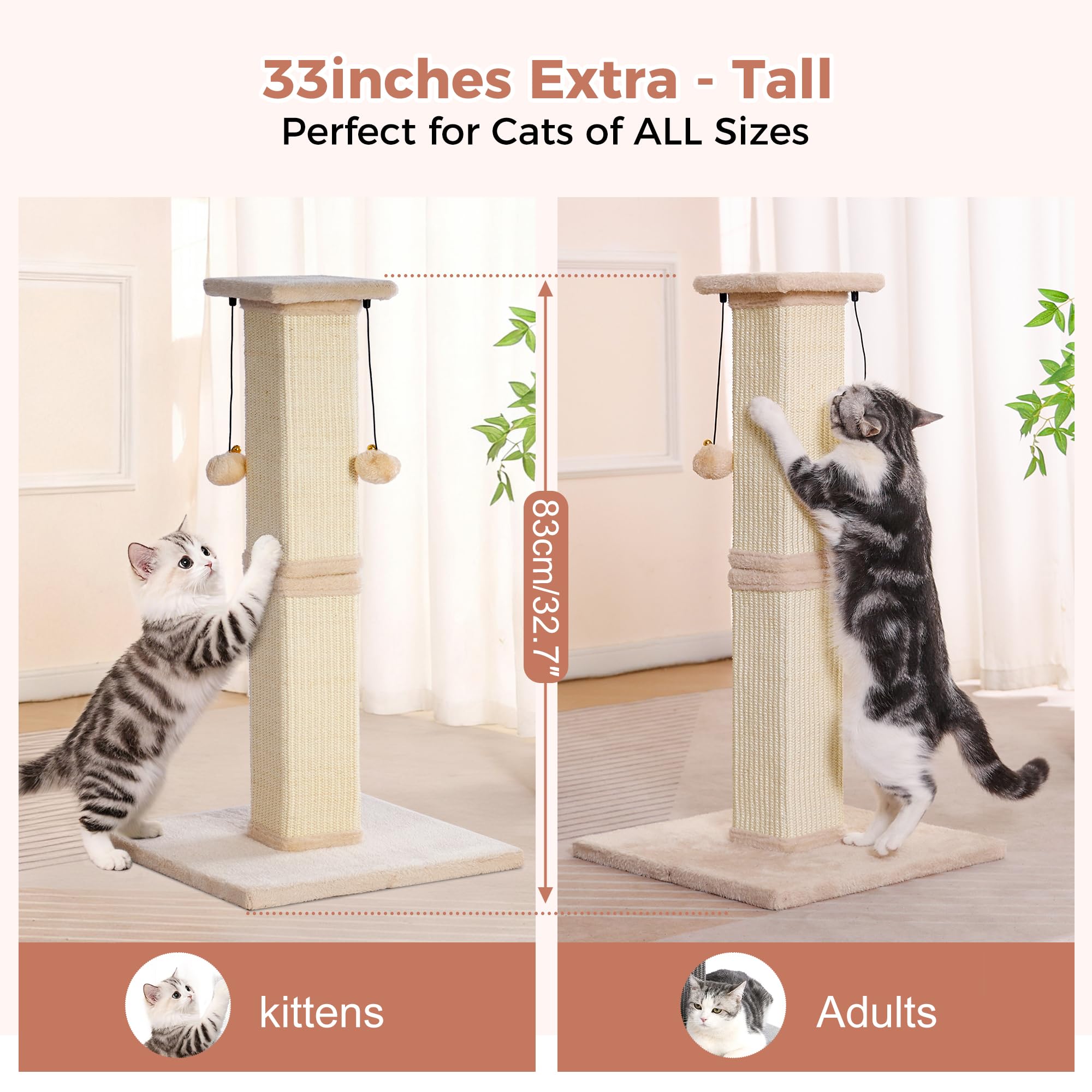 Pawfessor plush-plank perch lets cats observe between sessions