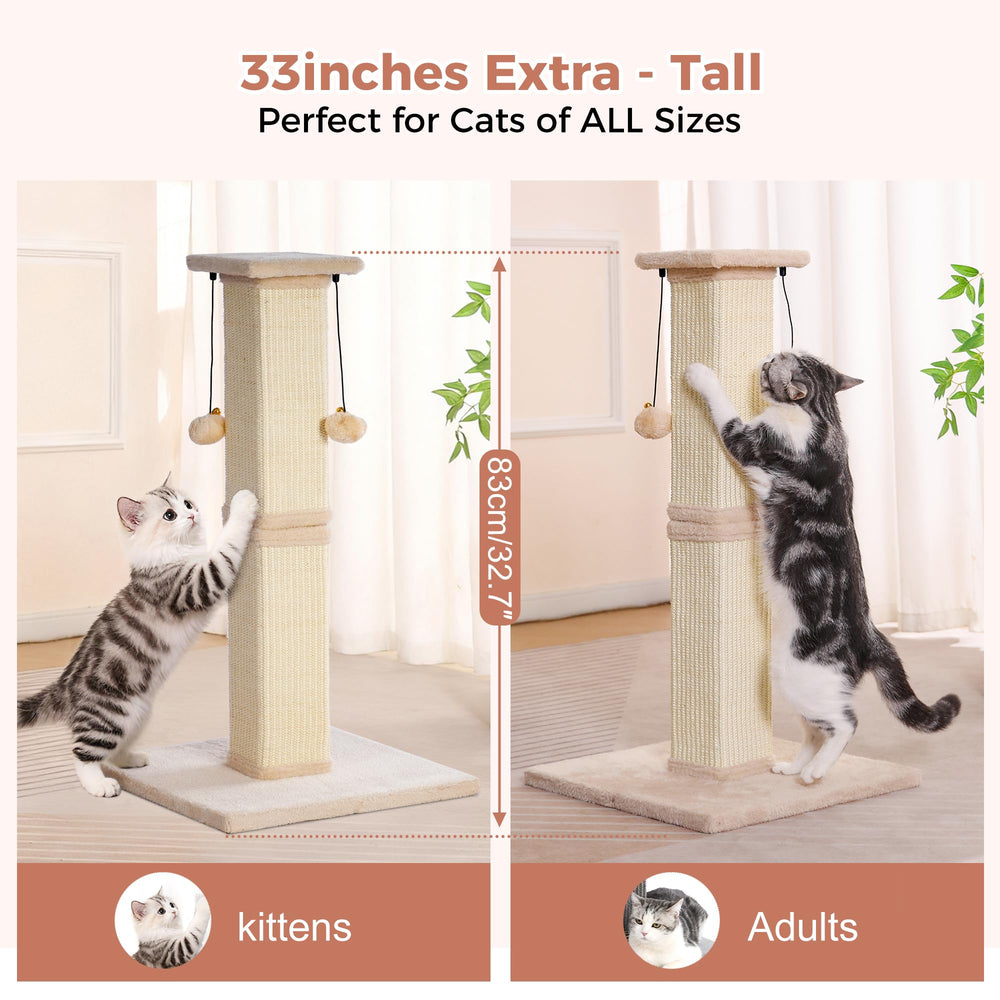 Pawfessor plush-plank perch lets cats observe between sessions