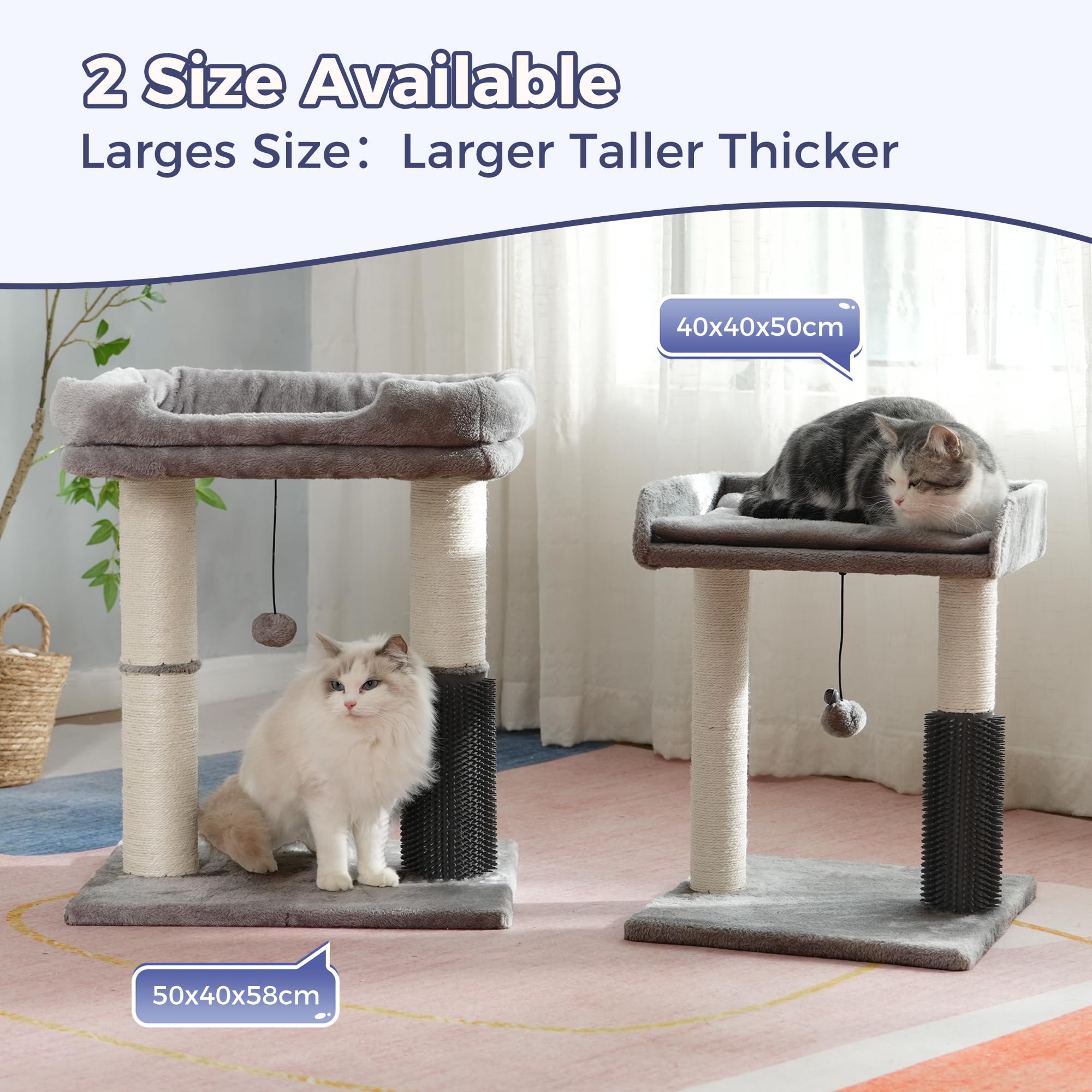 Pawfessor removable cushion is machine washable for easy cleaning.