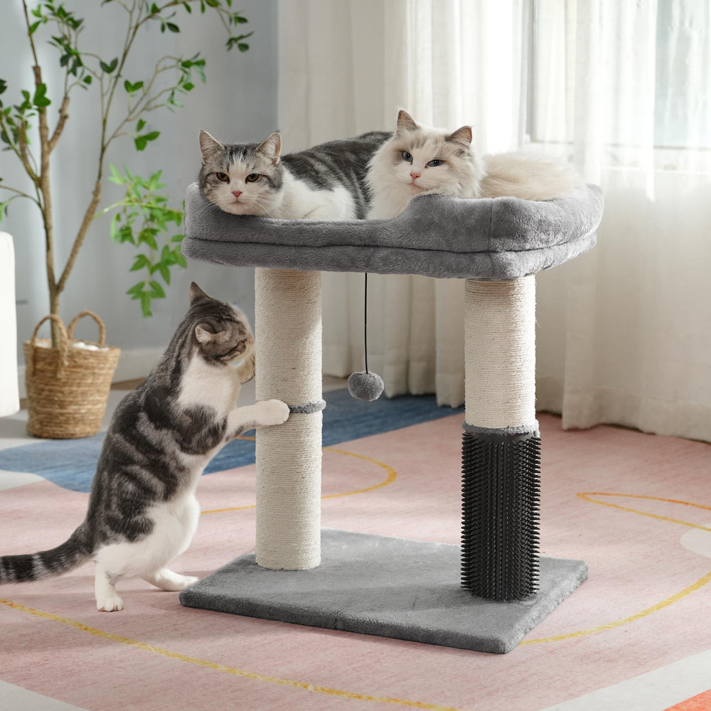 Pawfessor sturdy base and plush wrap enhance stability and comfort.