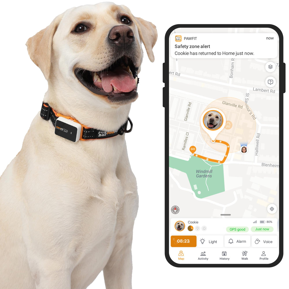 Pawfit 3 GPS pet tracker on a dog collar provides real-time safety tracking.