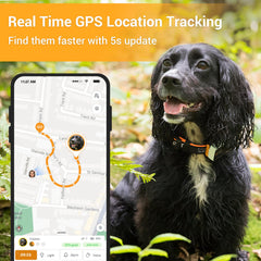 Pawfit 3G live tracking map view shows nationwide coverage with quick updates.