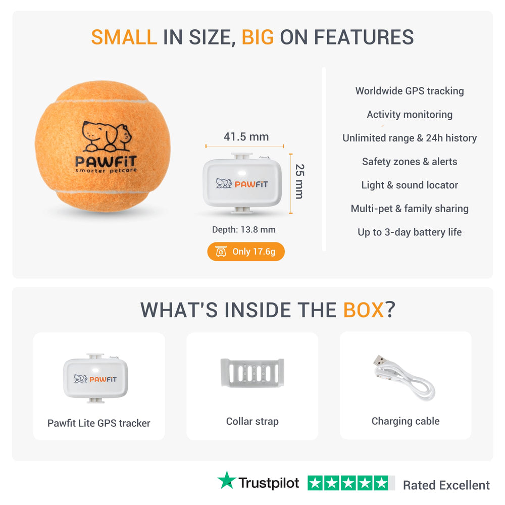 Pawfit Lite activity and location history supports daily monitoring and goals.
