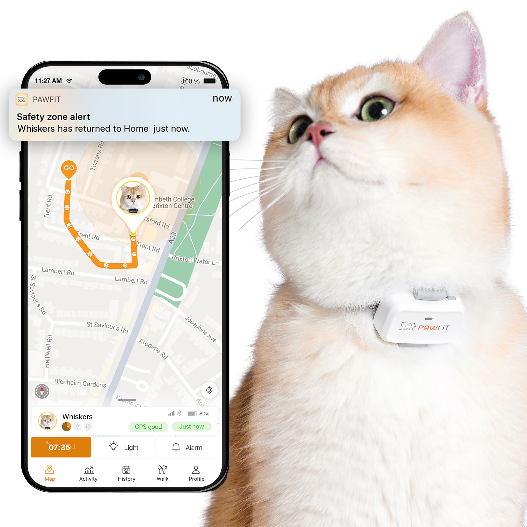 Pawfit Lite cat tracker on collar provides precise location awareness during daily adventures.