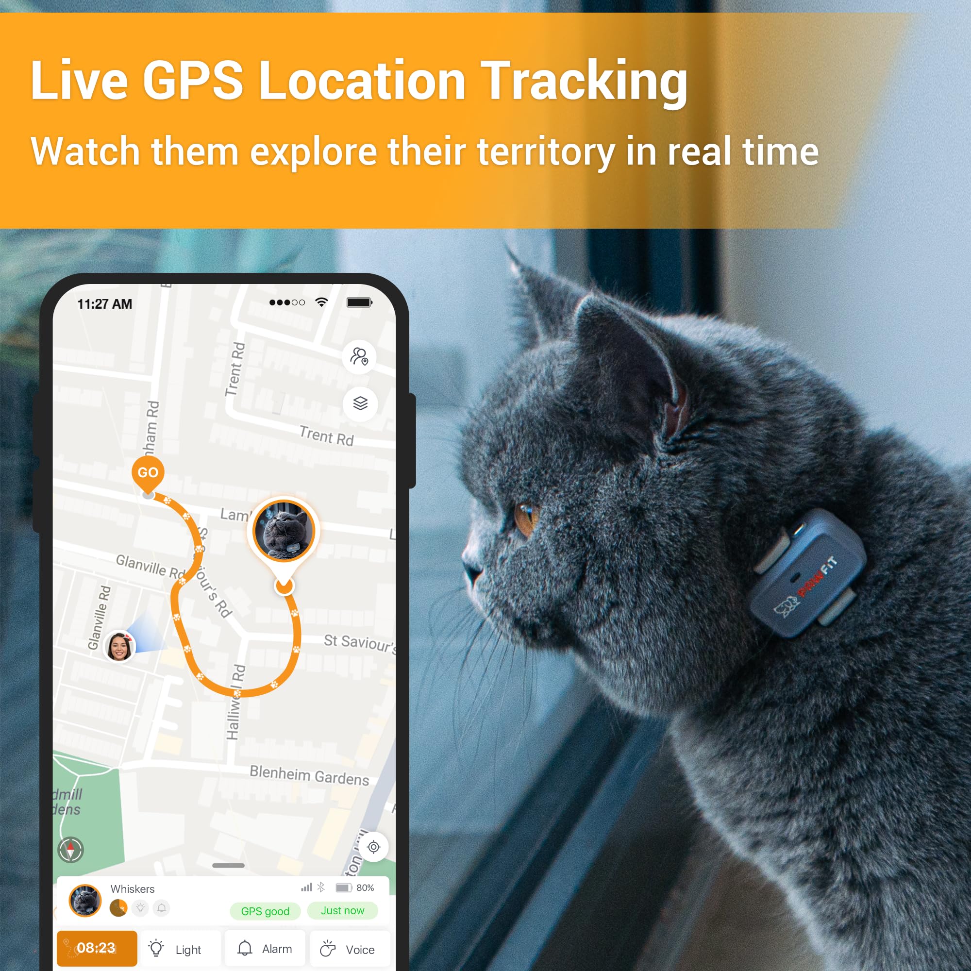 Pawfit Lite real-time tracking map showing cat location