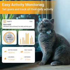 Pawfit Lite unlimited range tracking across continents