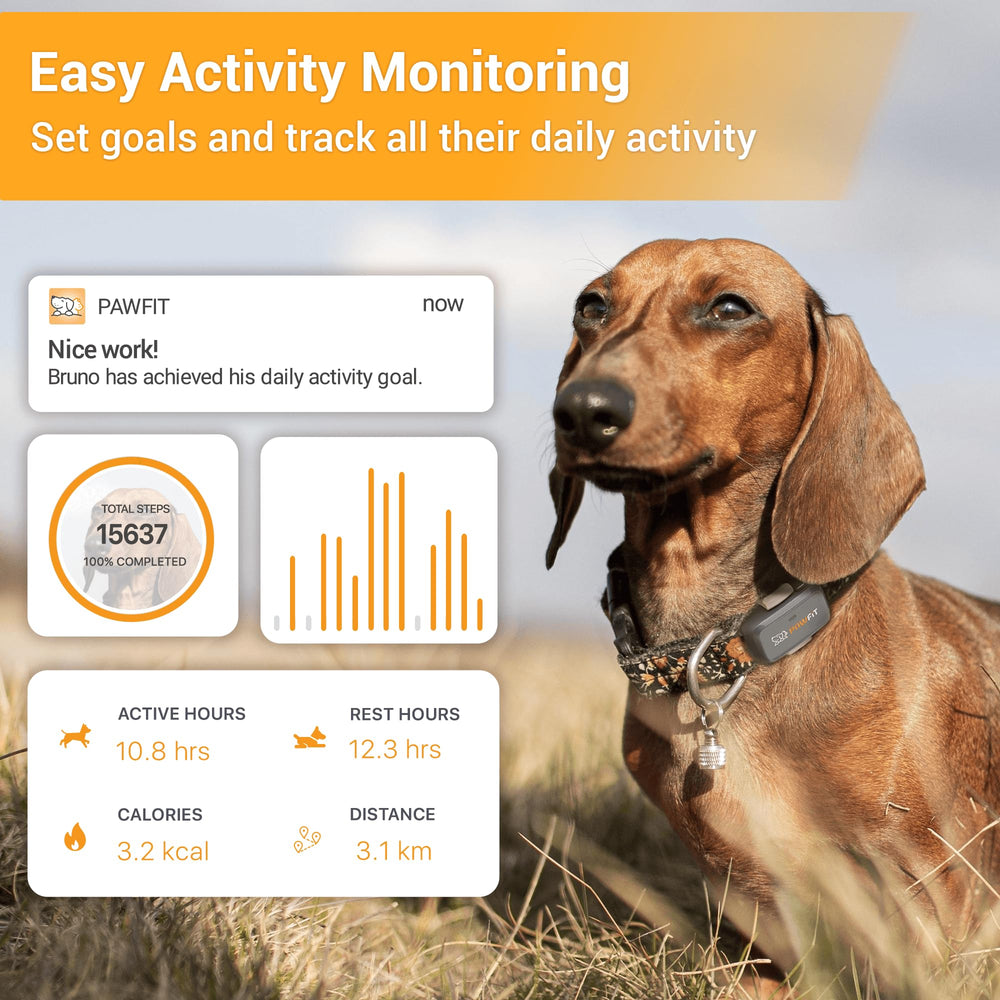 Pawfit Lite LED light and escape alert helps locate a dog quickly in low light