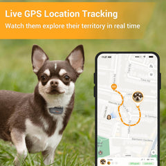 Pawfit Lite real-time tracking map shows live movements and routes