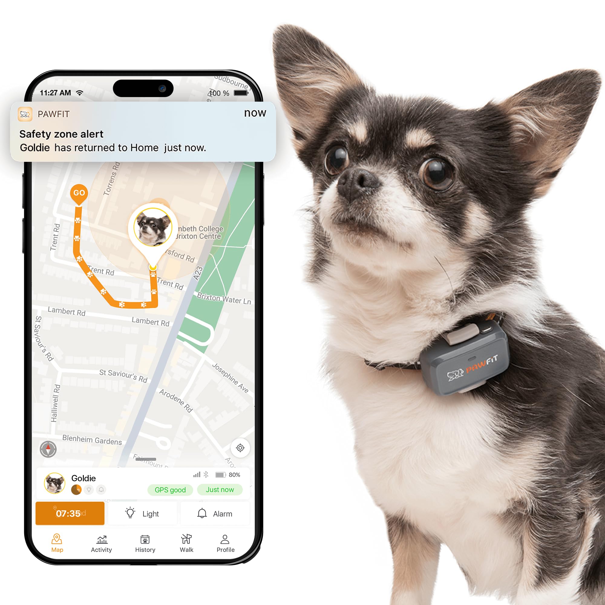 Pawfit Lite small-dog GPS tracker shown as a compact wearable for reliable location tracking.