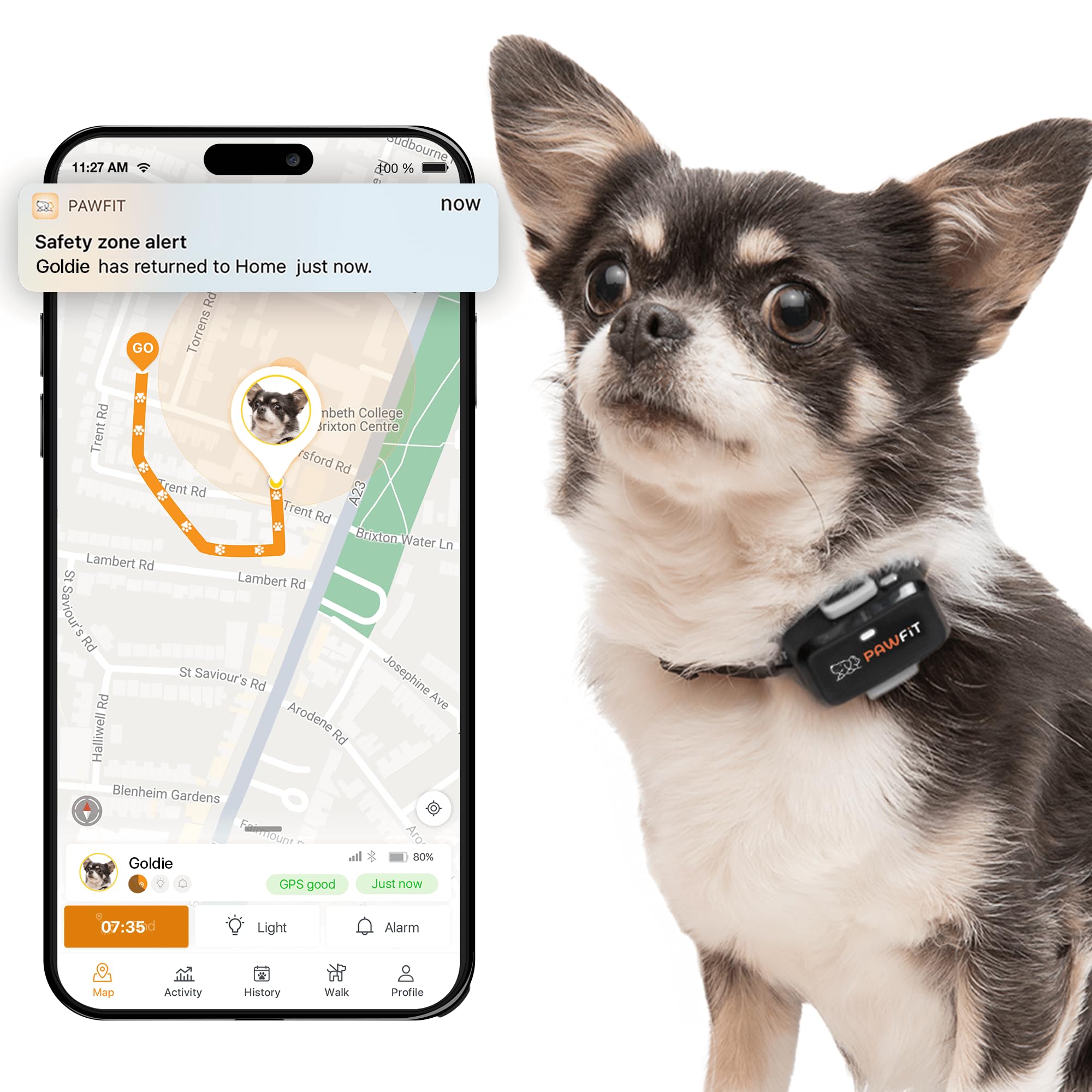 Pawfit Lite small-dog-tracker on neck for constant location visibility and safety