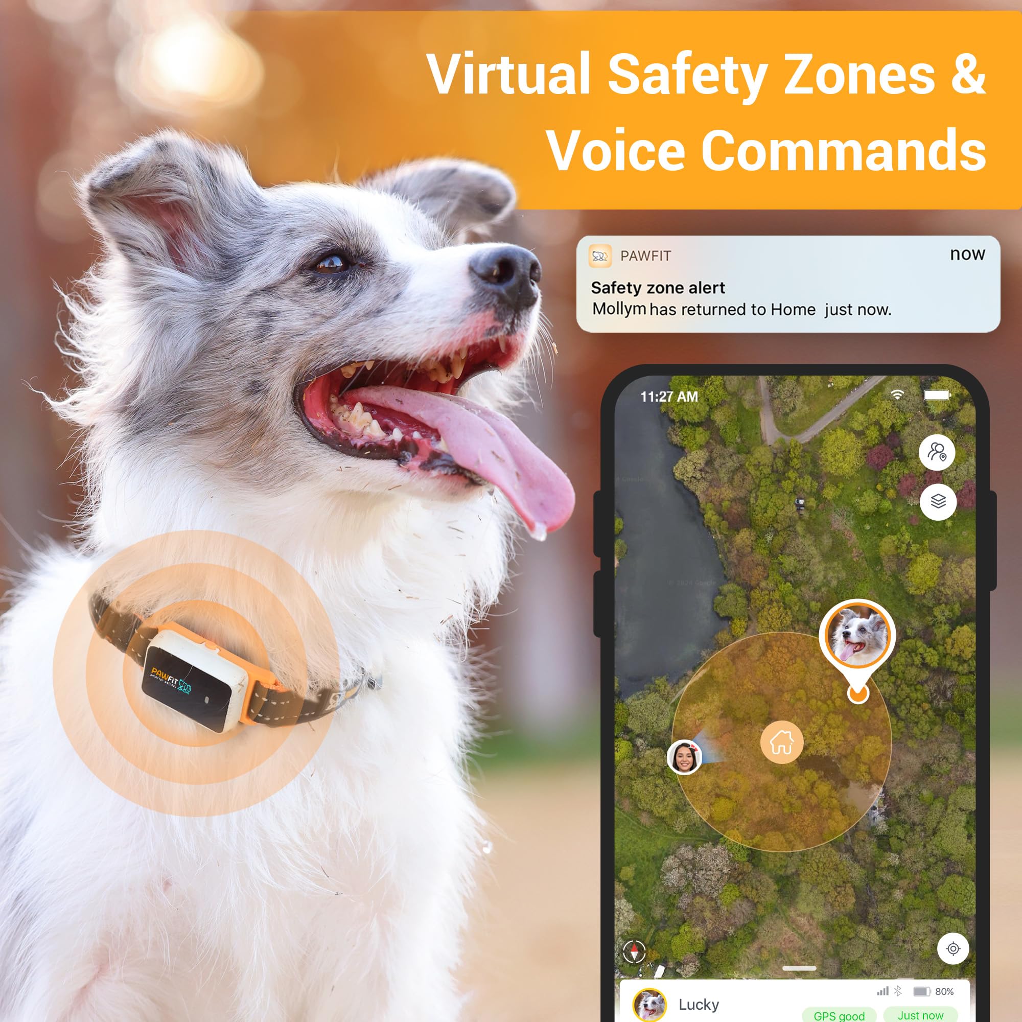 Pawfit safety alerts with LED light provide instant notifications and quick locating.
