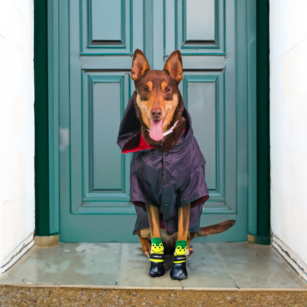 PawFlex adjustable-strap dog boot secures a snug fit for active pets