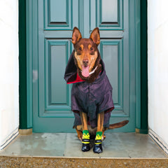 PawFlex adjustable-strap dog boot secures a snug fit for active pets