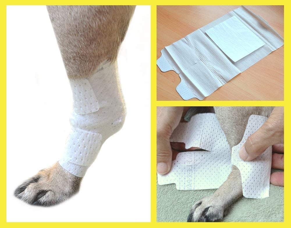 PawFlex bandage application quick-change shows easy wrap adjustment.