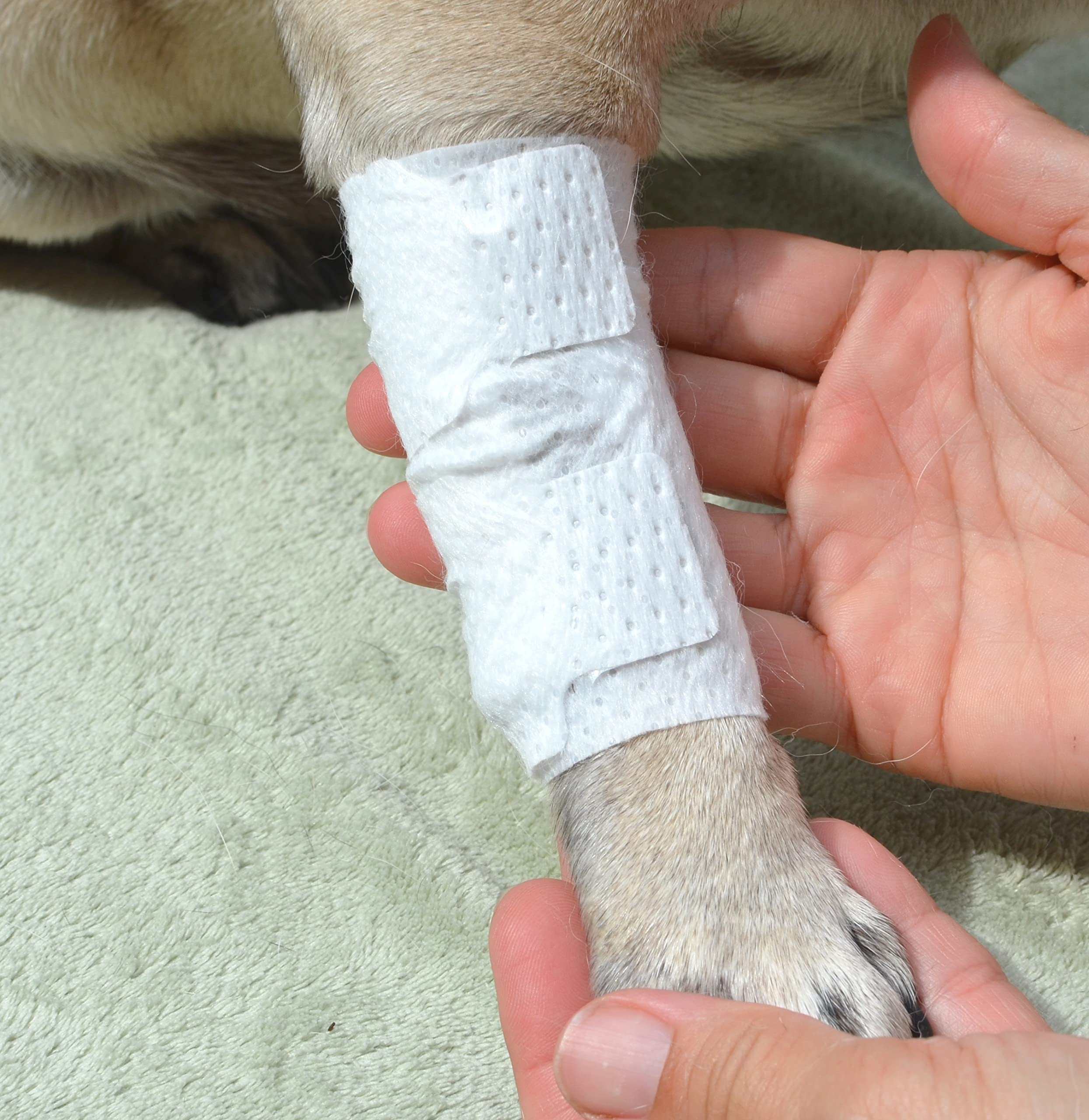 PawFlex bandage on a dog's leg during play demonstrates secure hold.