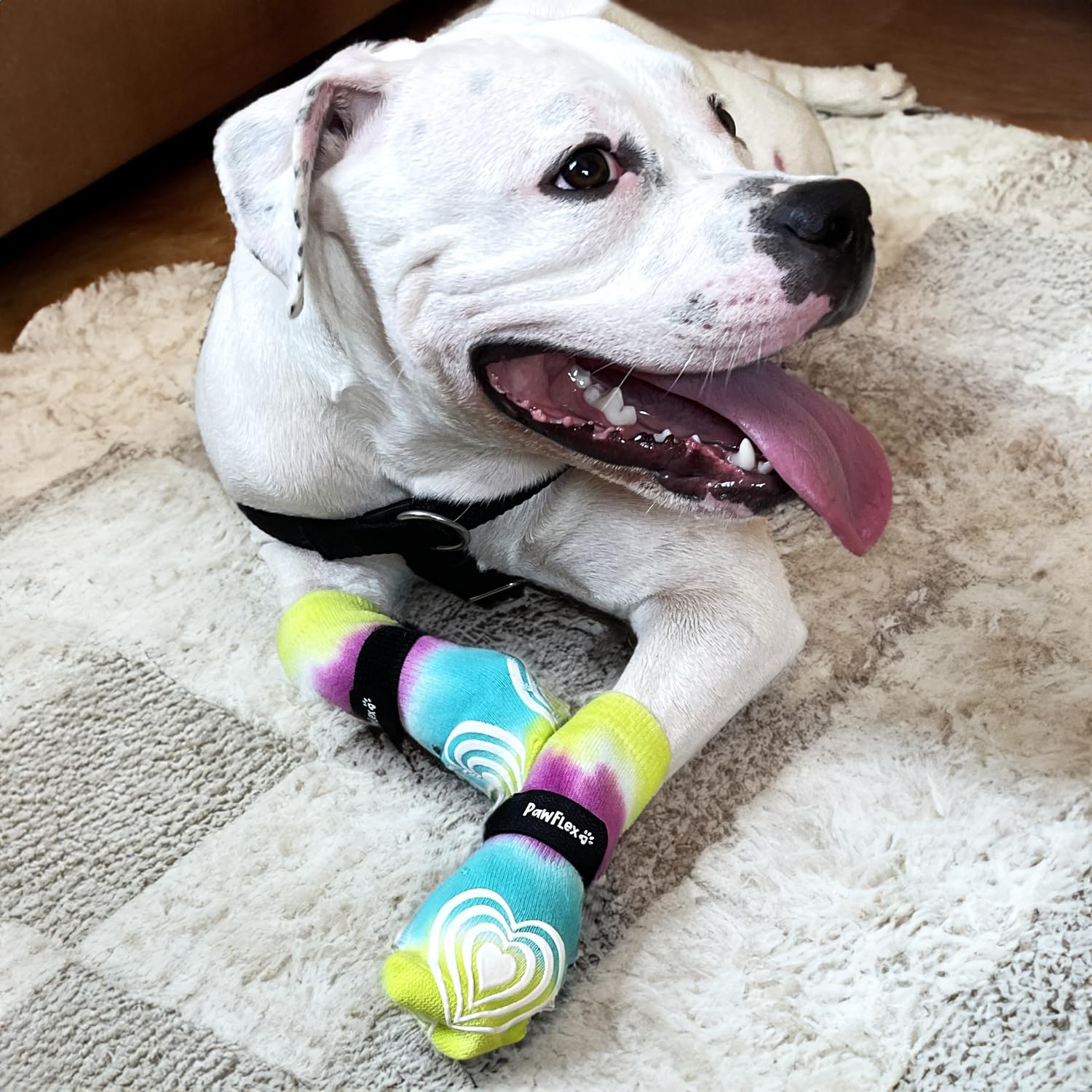 PawFlex Comfy Pawz paw protection helps prevent minor scrapes during play.