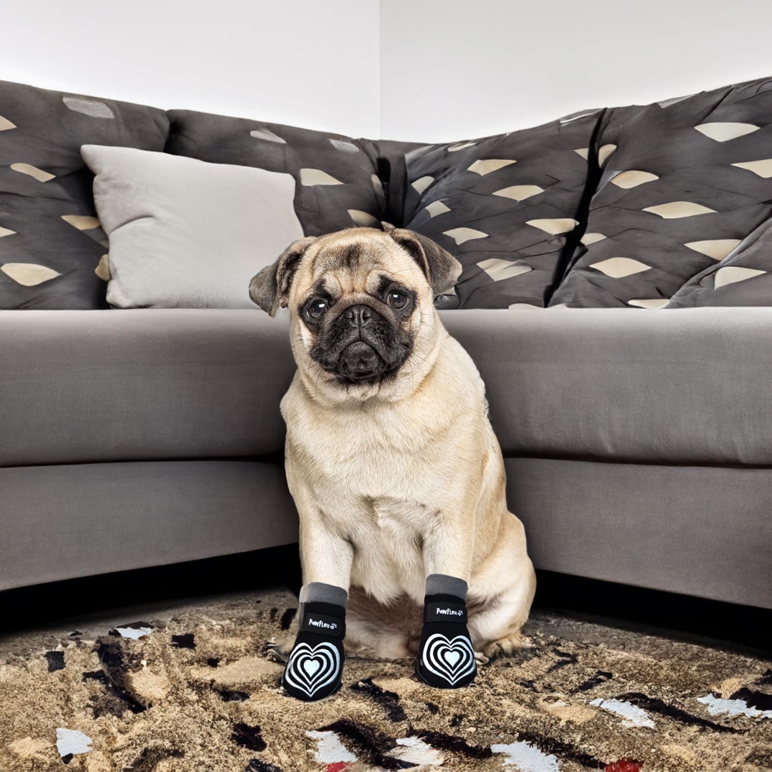 PawFlex dog socks tested on hardwood floors to demonstrate improved traction