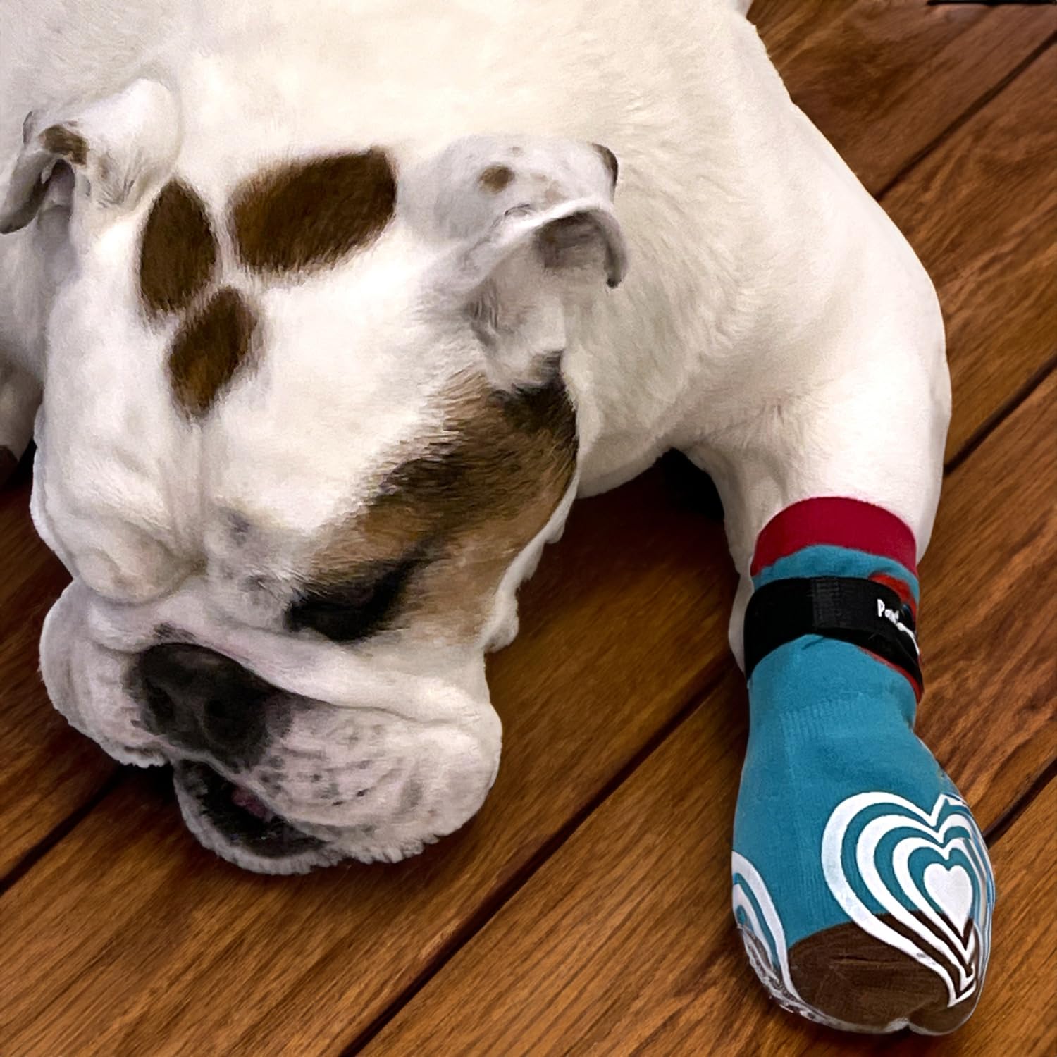 PawFlex dog socks designed to work with Medimitt Paw Bandages.