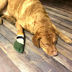 PawFlex Durable rubber bottoms protect nails and offer rugged traction outdoors.