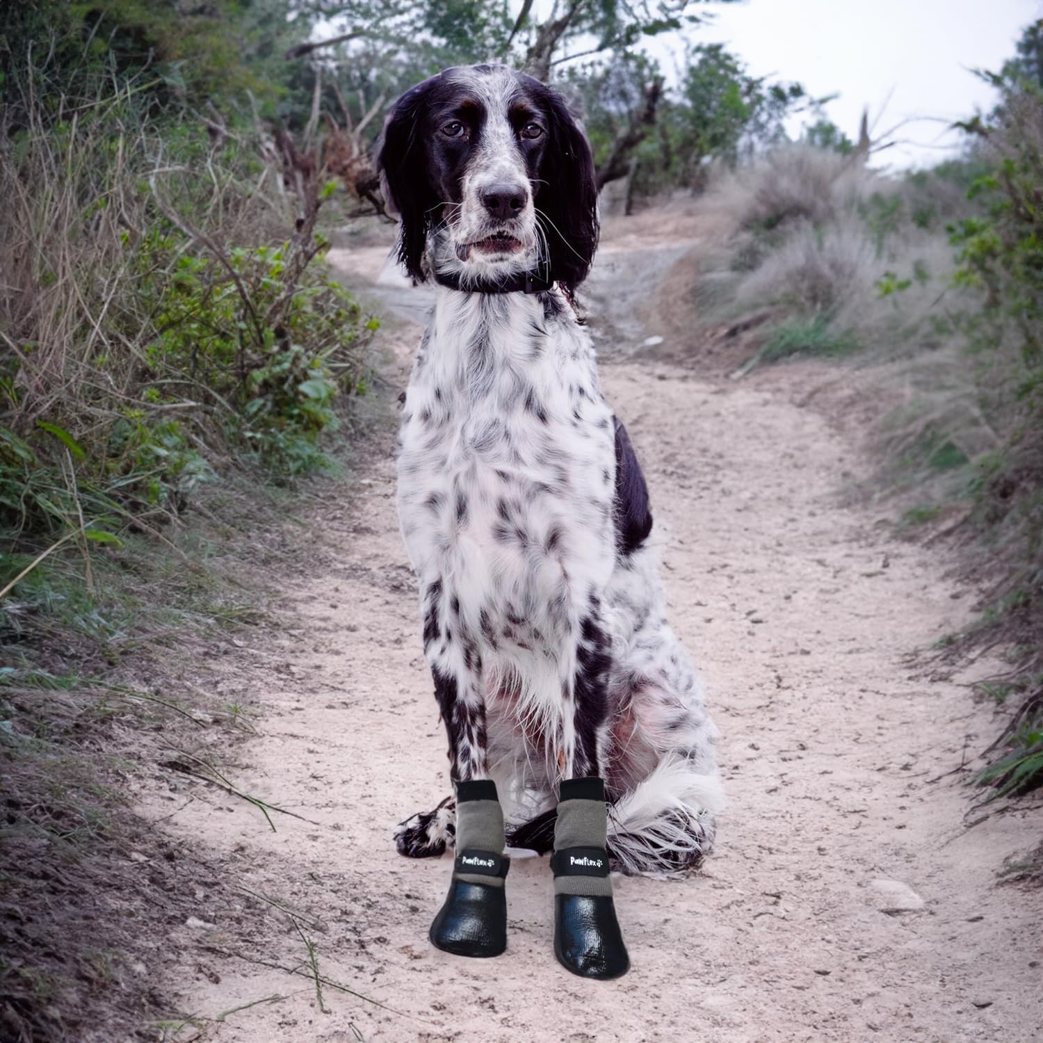 PawFlex indoor-outdoor use image demonstrating versatile dog booties.