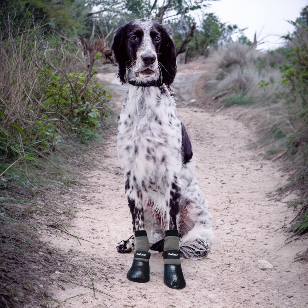 PawFlex indoor-outdoor use image demonstrating versatile dog booties.