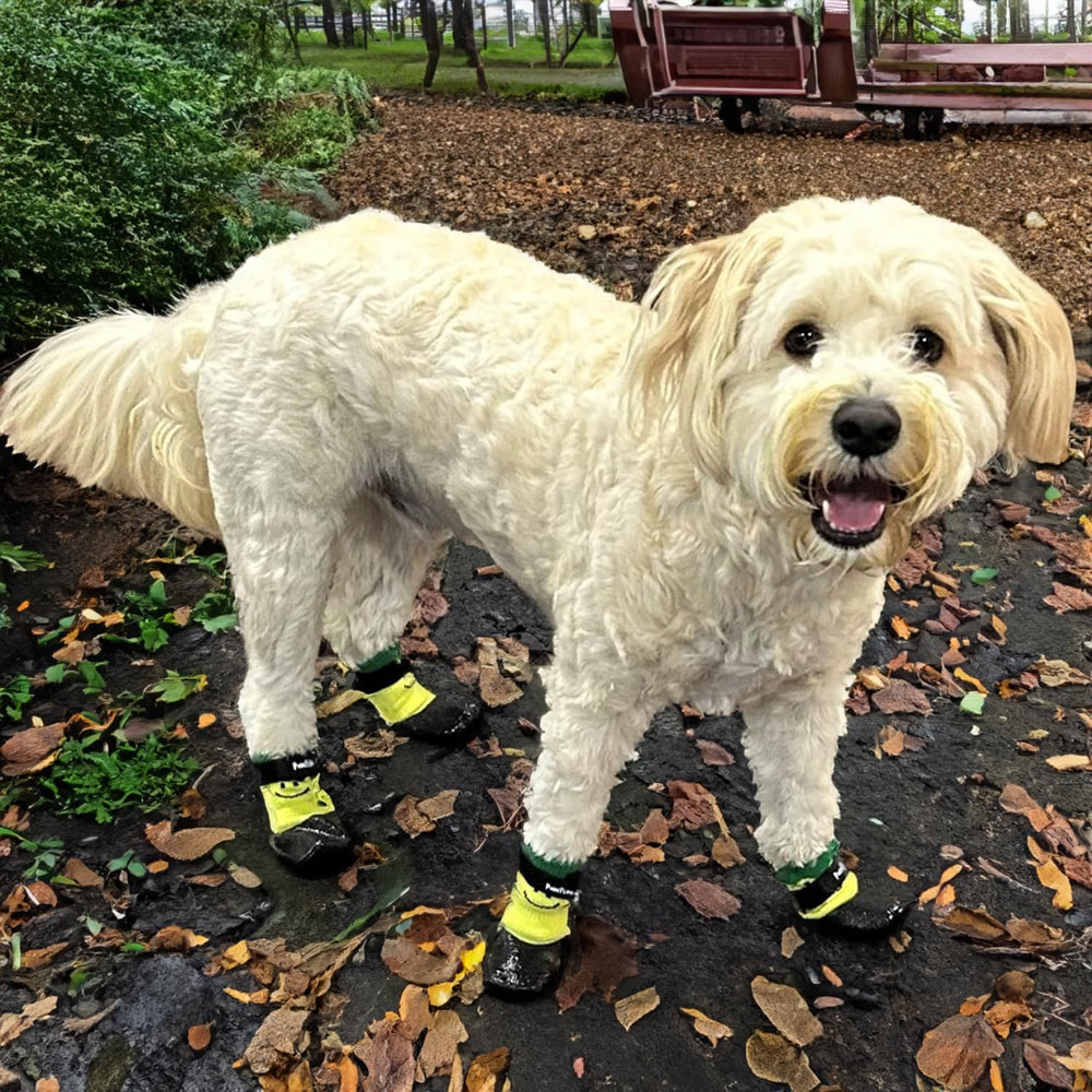 PawFlex nails-protection soft-boot shields nails during play