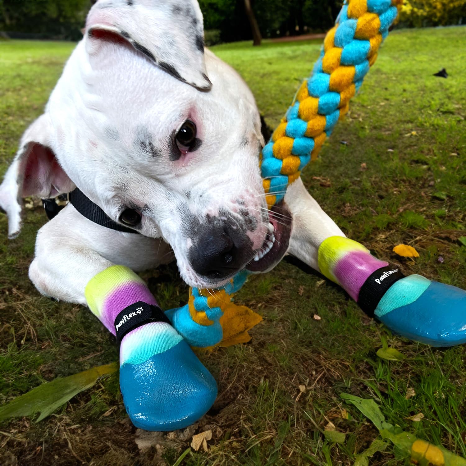 PawFlex non-slip inside grip shows stay-put design for indoor and outdoor adventures.