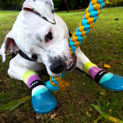PawFlex non-slip inside grip shows stay-put design for indoor and outdoor adventures.