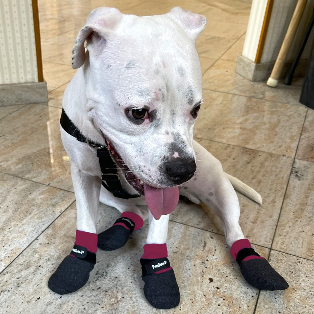 PawFlex inner silicone grip demonstrates anti-slip hold for secure paw wear.