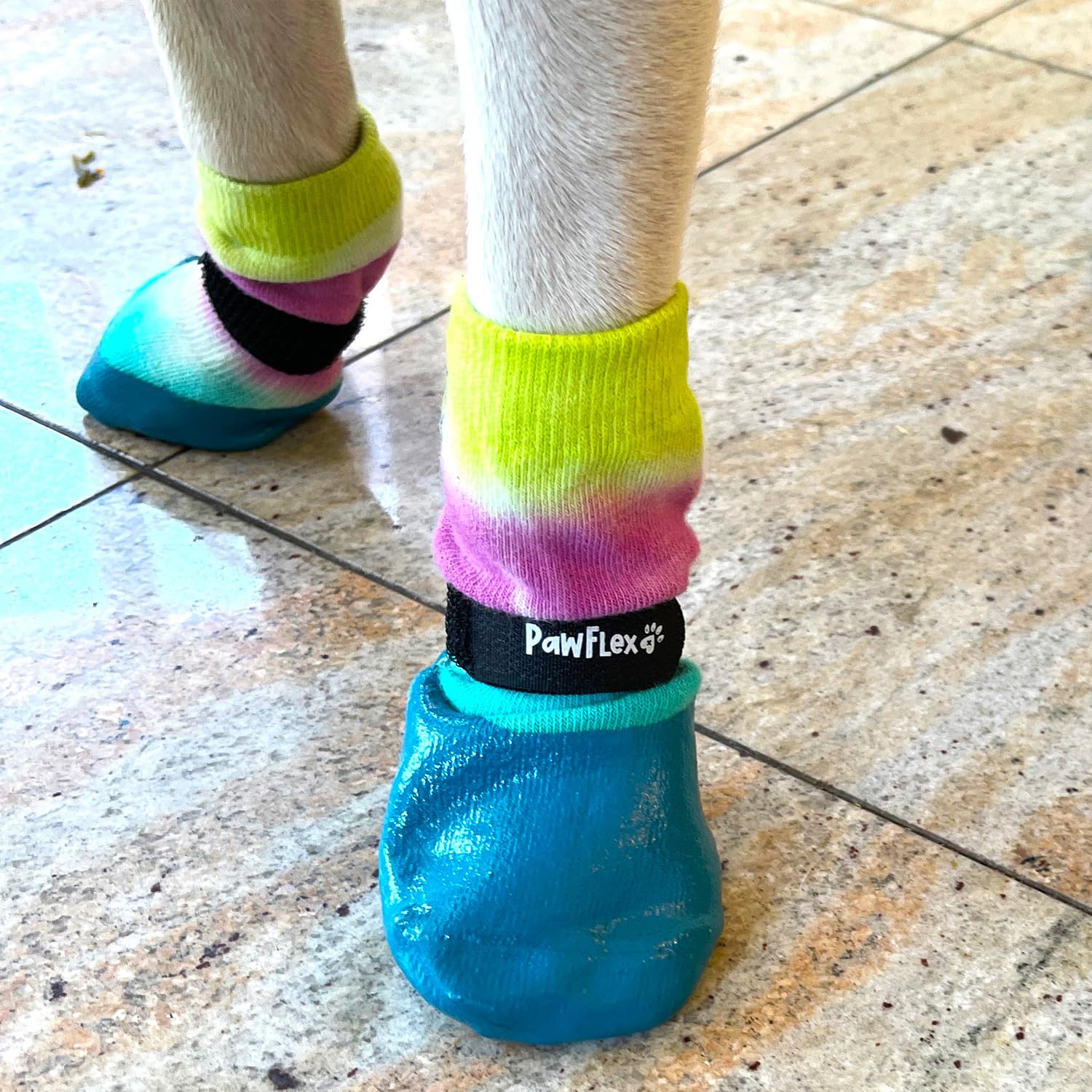 PawFlex senior-dog-traction-boost aids steady mobility at home.