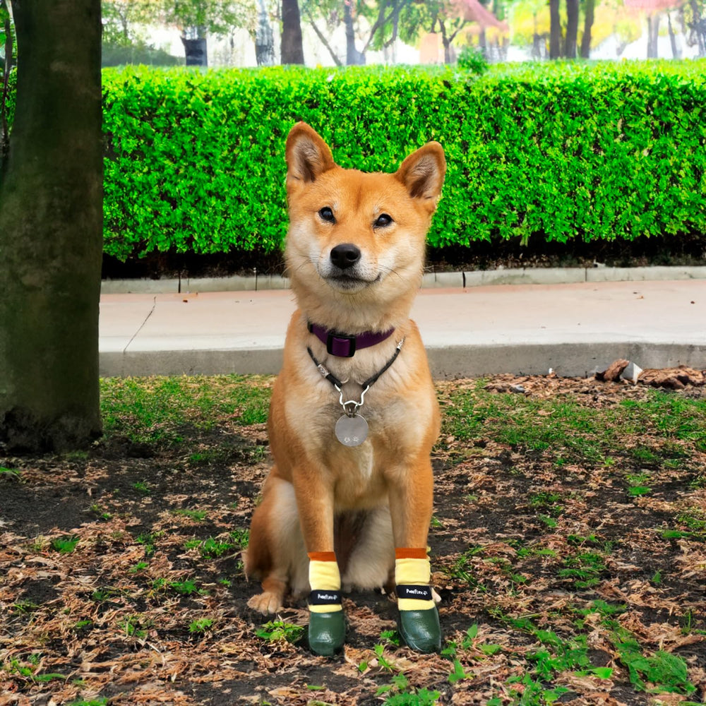 PawFlex double-thick rubber boots protect paws from moisture and abrasion.