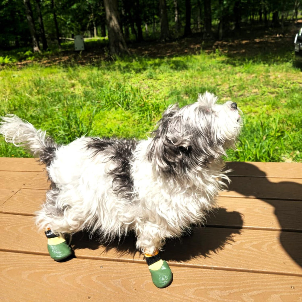 PawFlex Silicone non-slip inner grip keeps boots in place during activity.
